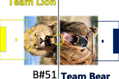 lion vs bear with number